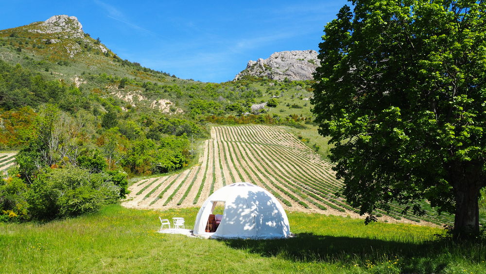 Le wigwam bulle Lavande. Izon Nature, hébergements et table d'hôtes insolites dans la Drôme provençale