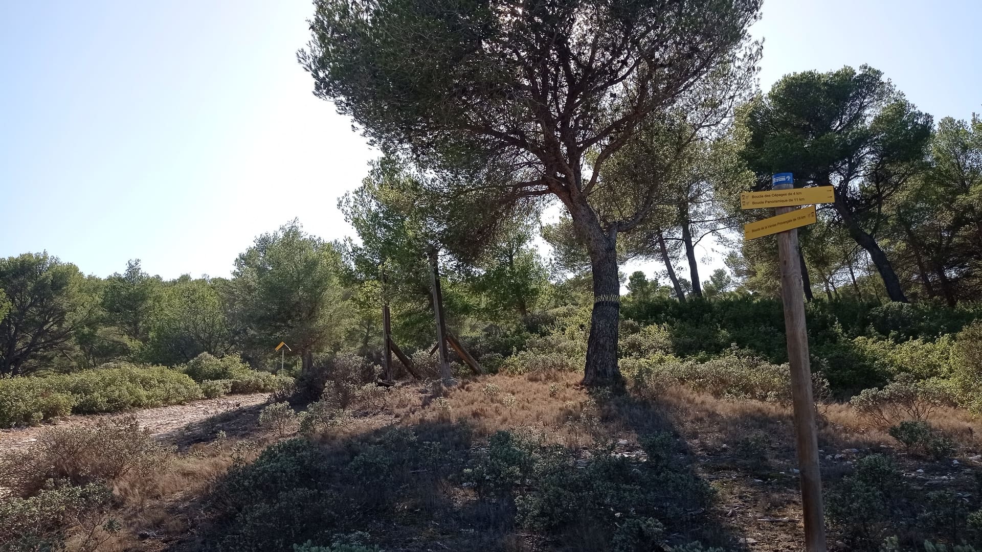 Sentier des vignerons - Boucle panoramique - photo 4