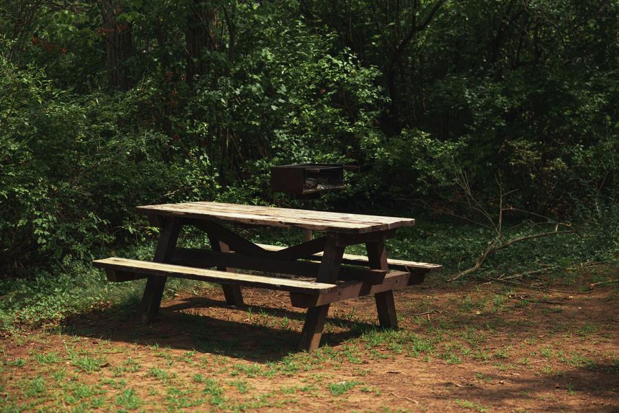 Aire pique nique Forêt Domaniale de Mallemoisson_Mallemoisson