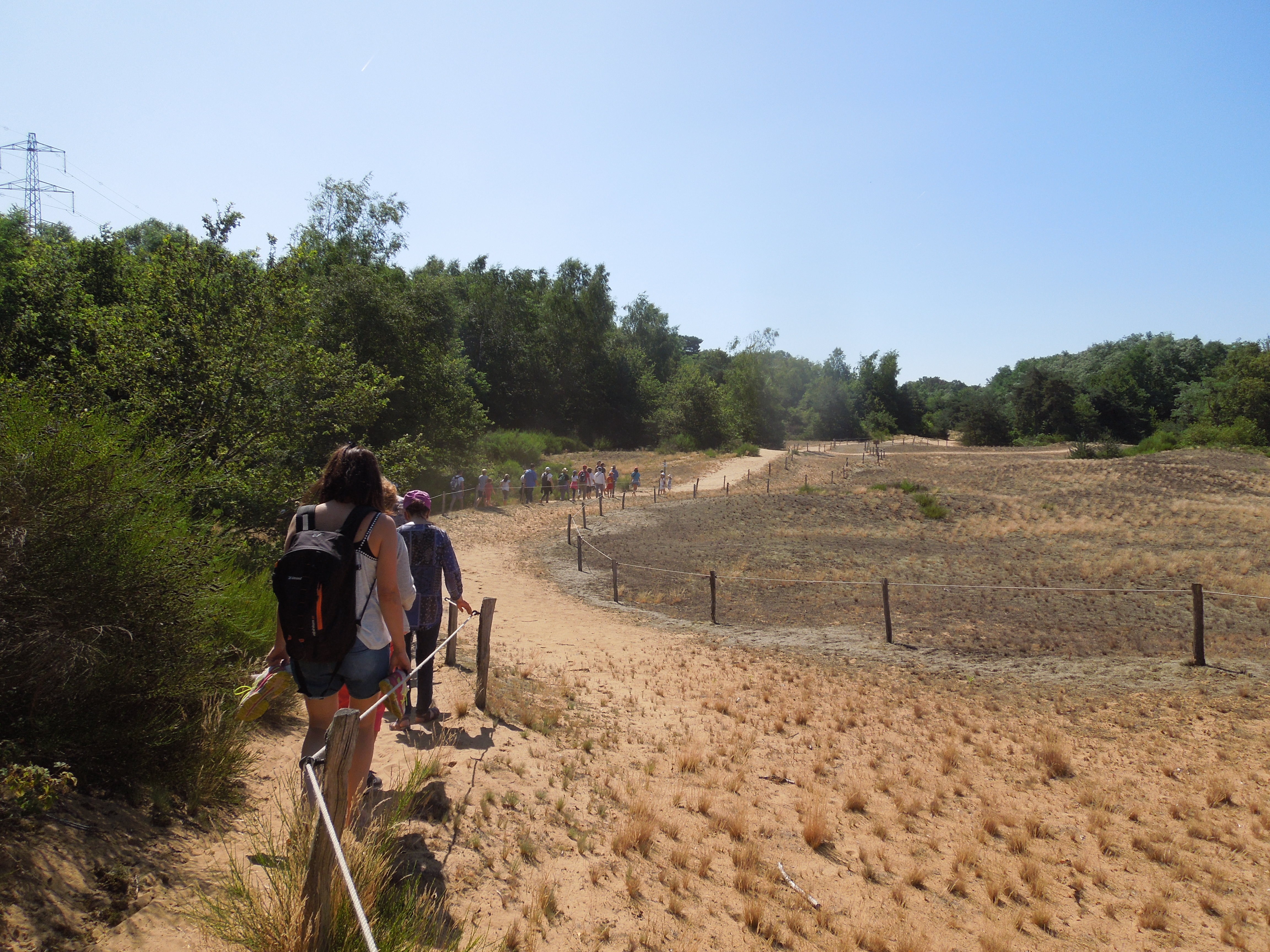 Animation Dunes