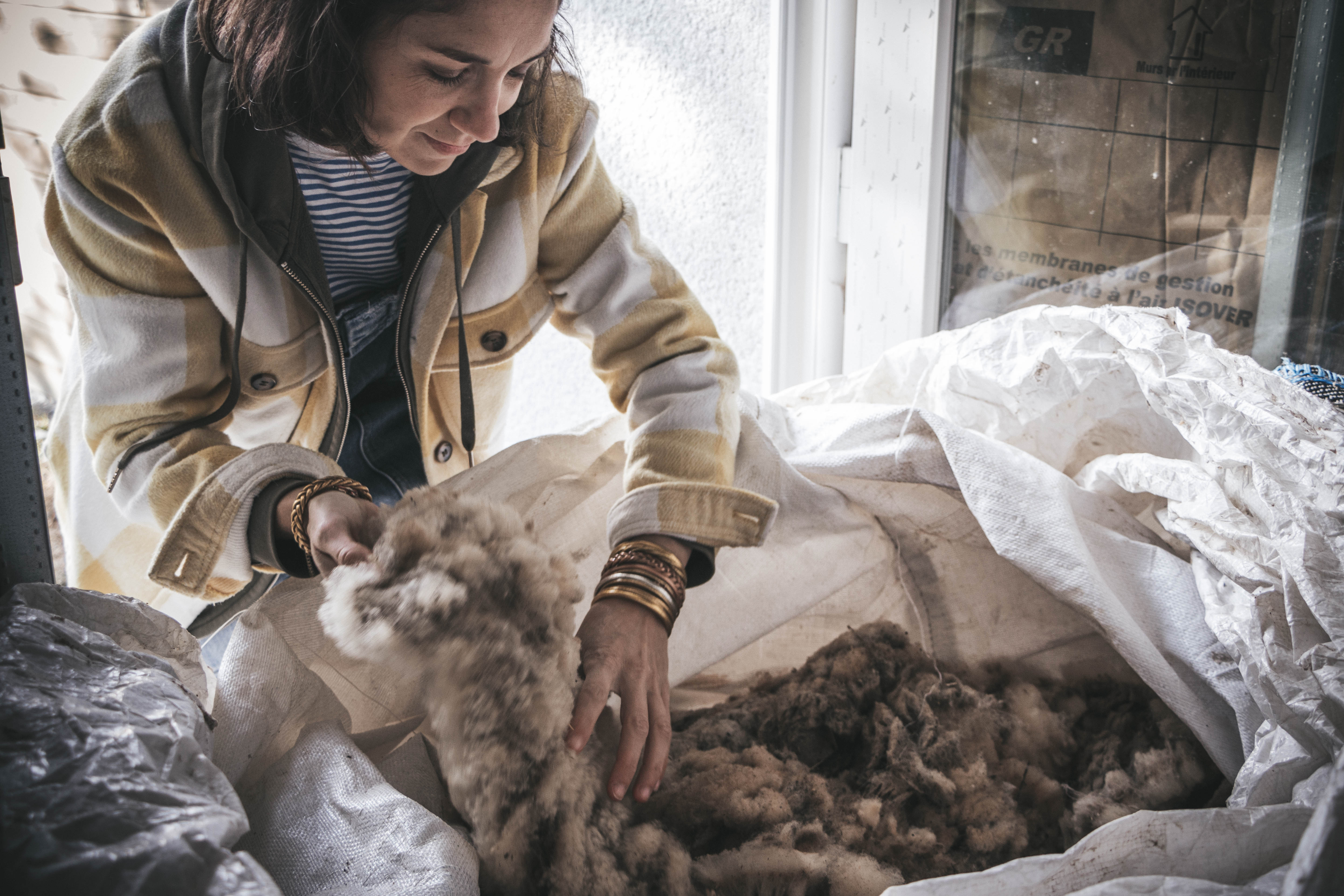 Atelier visite et découverte de la Laine