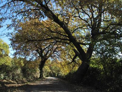 Rognes - Saint Estève Janson, La Chaîne des Côtes