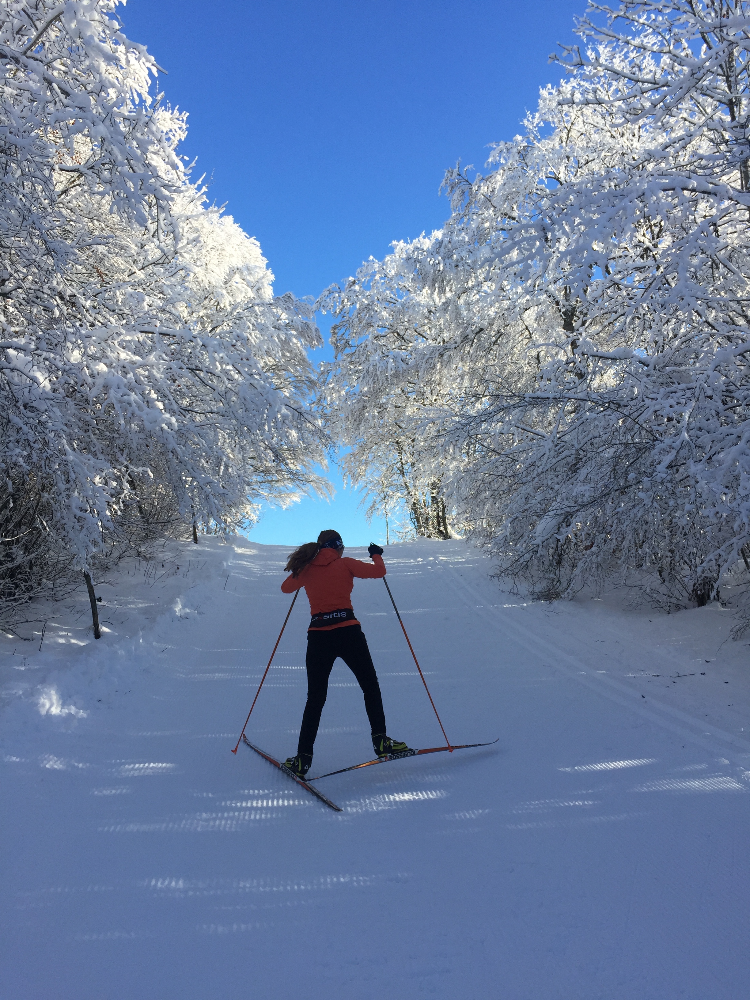 Piste bleue de ski de fond du Plateau de Retord : Le Balcon des Plans