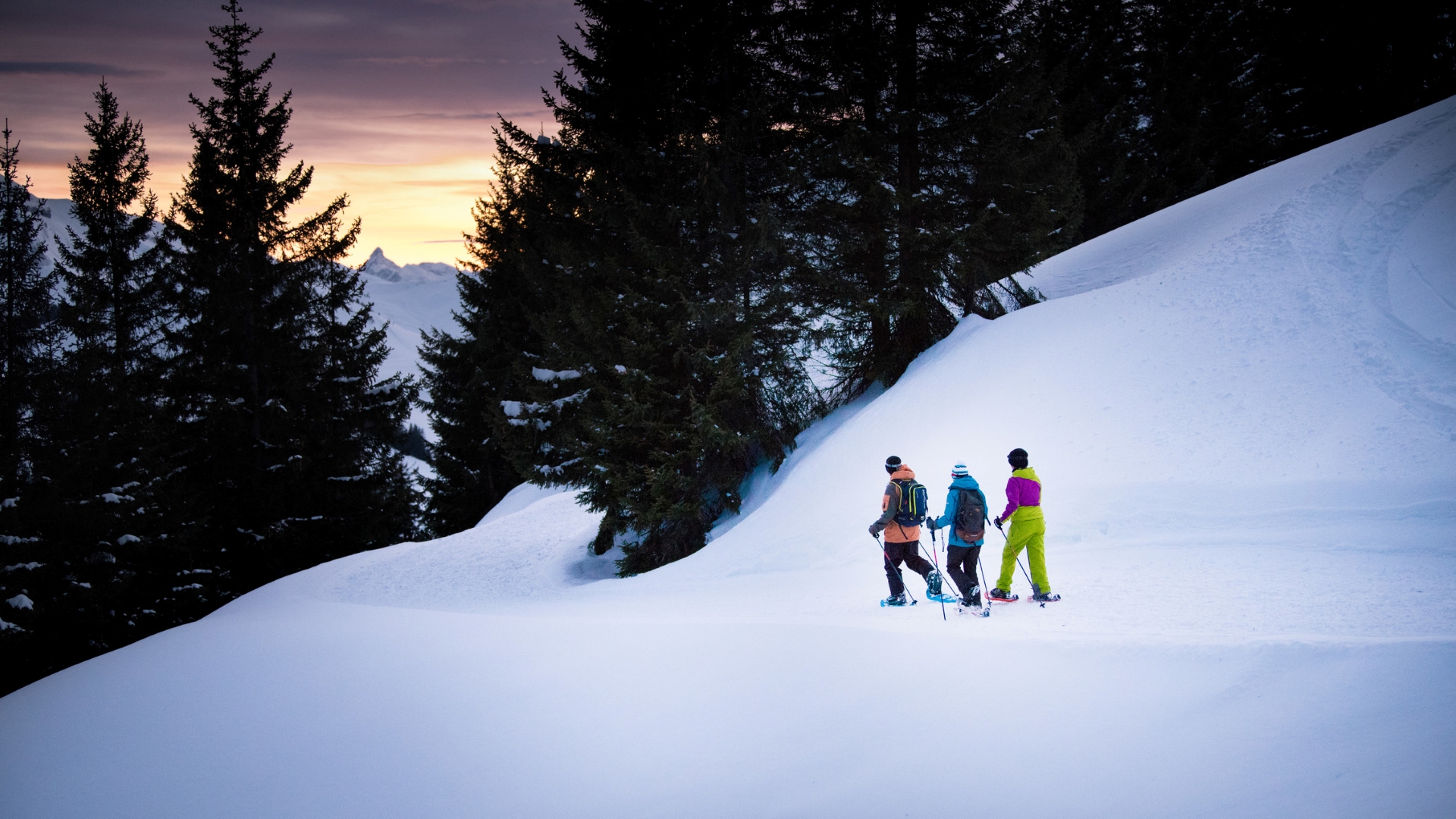 Snowshoeing & lunch for lovers