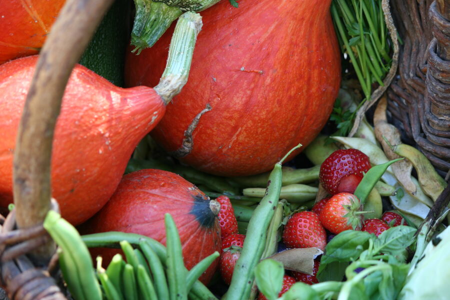 Le Cris-Cath - Tréminis