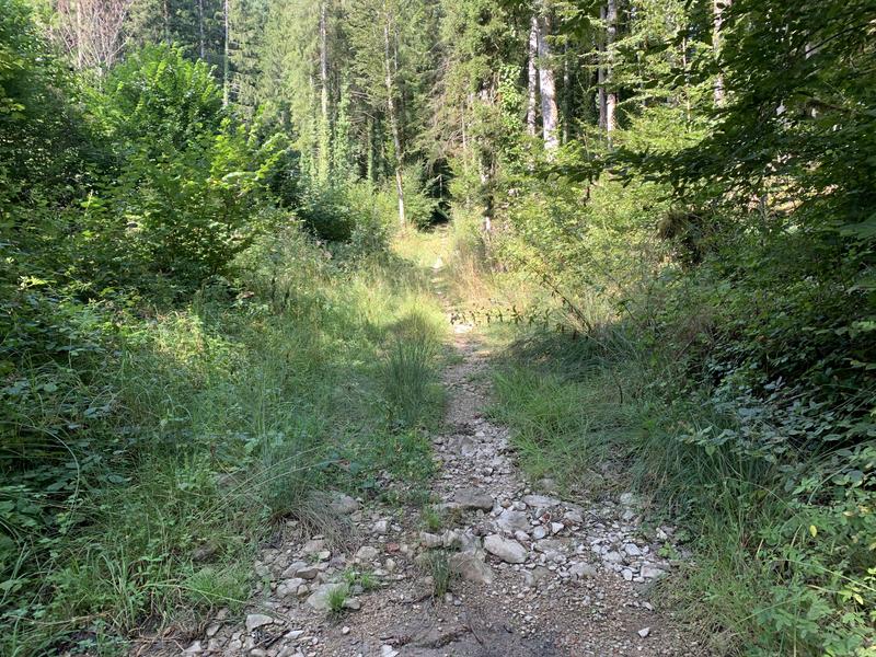 Randonnée - Sur les pentes de l'avocat