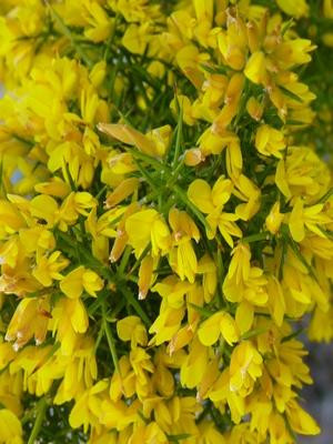 Allauch : les collines de Pagnol - photo 4