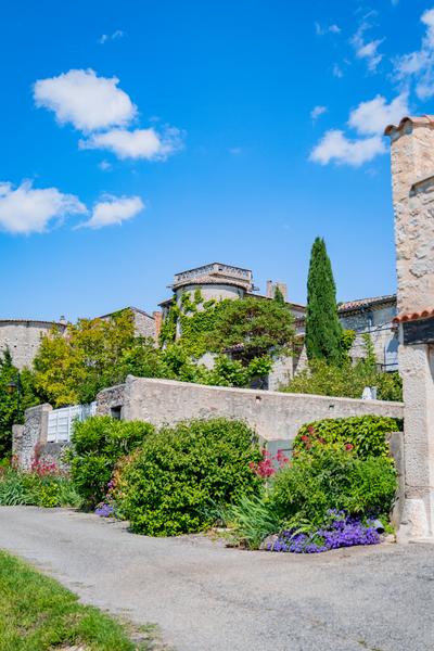 Balade découverte des plantes sauvages, arbres et arbustes du village de Puygiron_Puygiron