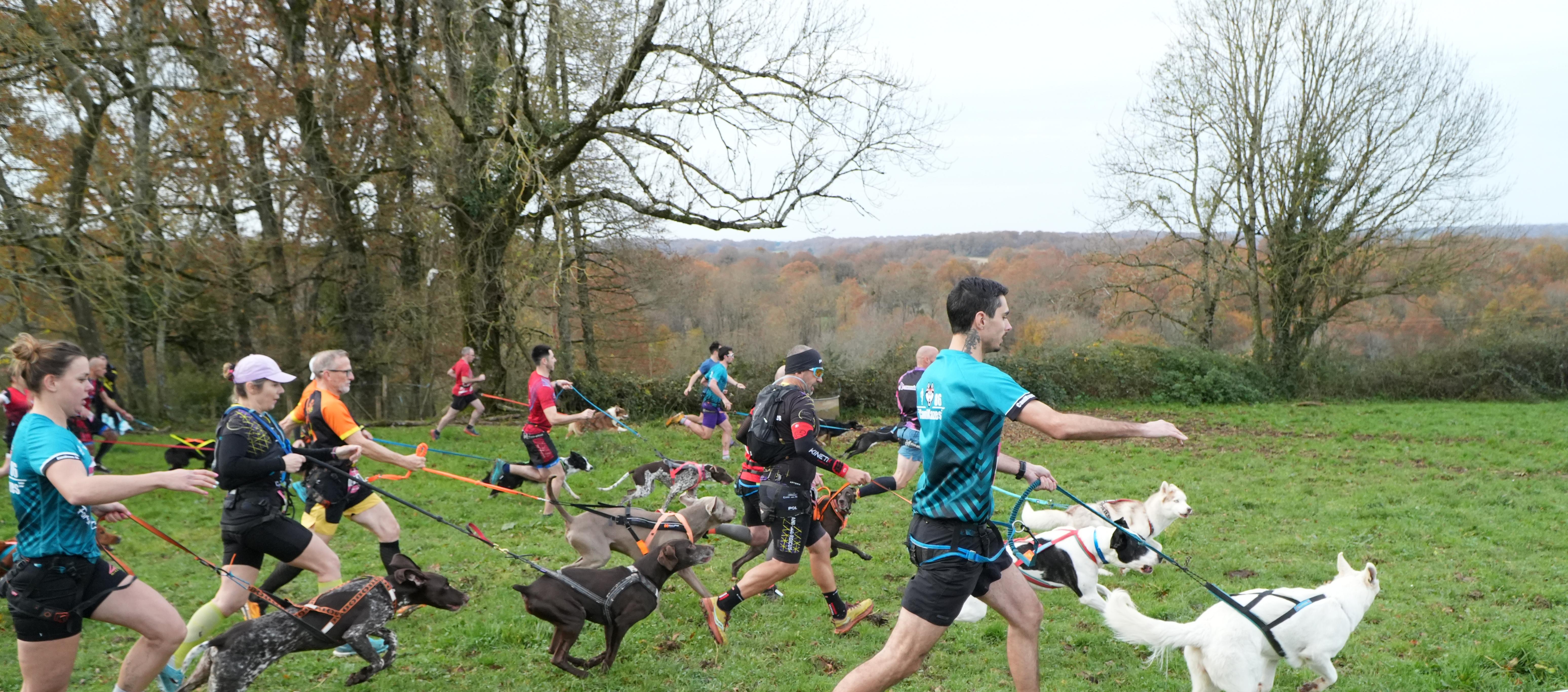 Cani trail de la vallée de la sonnette
