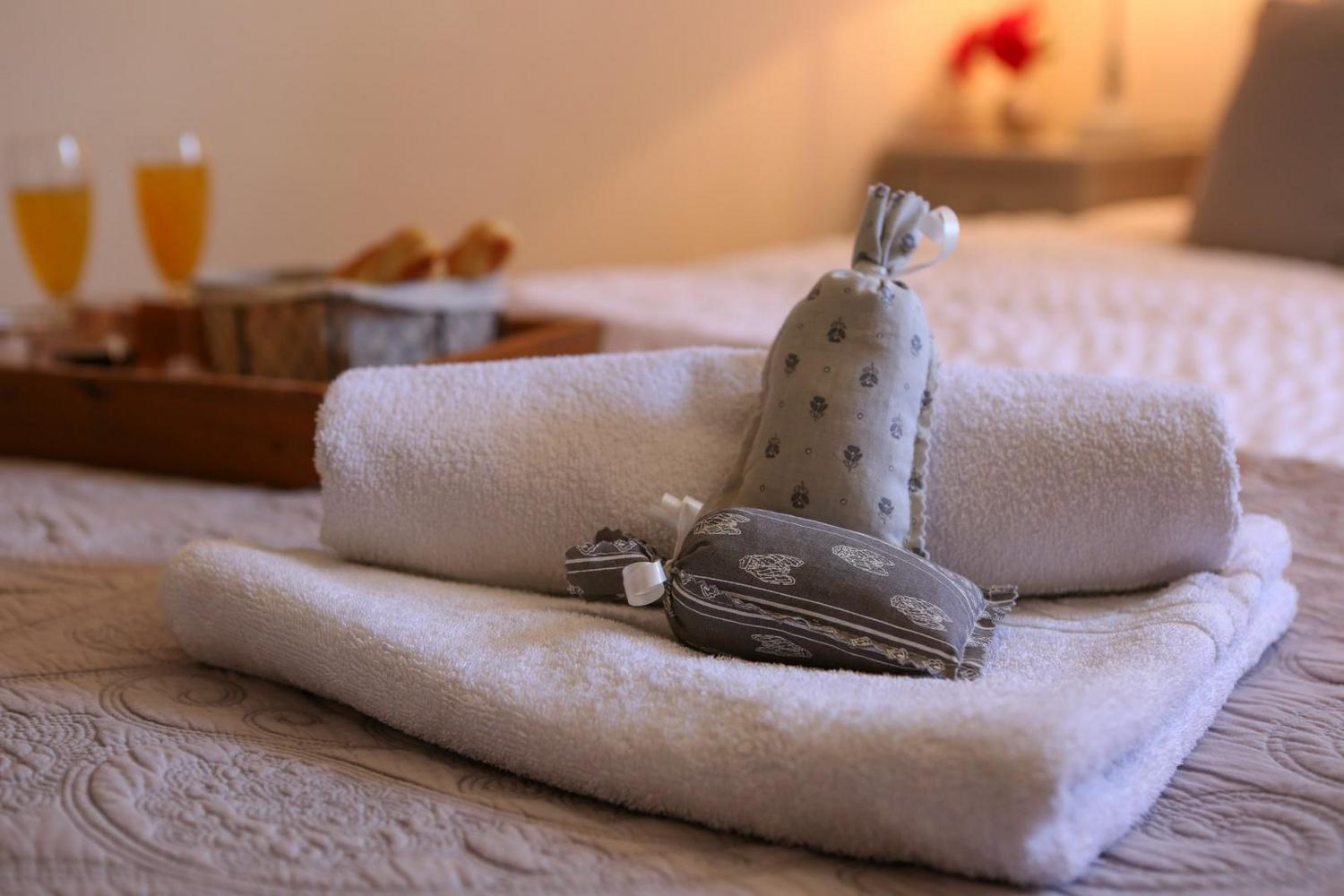 Cottage Zola, Aix-en-Provence - photo 16