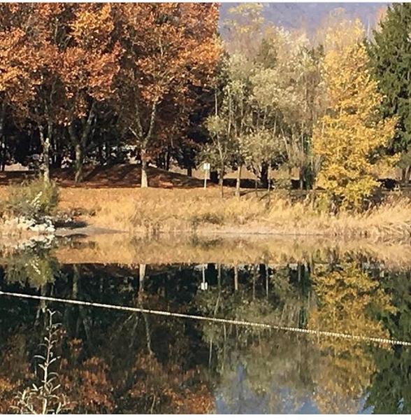 Camping de la terrasse