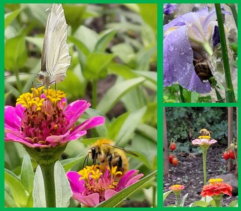 Les propriétaires des lieux qui nous accueillent chez eux