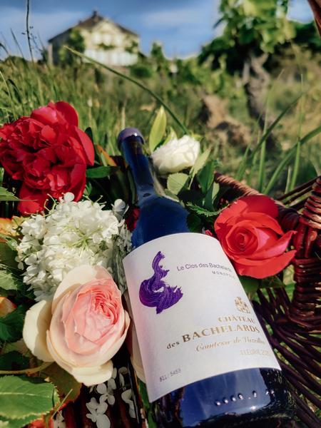 Château des Bachelards