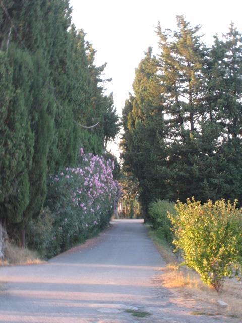 Les Alpilles, Châteaurenard - photo 10