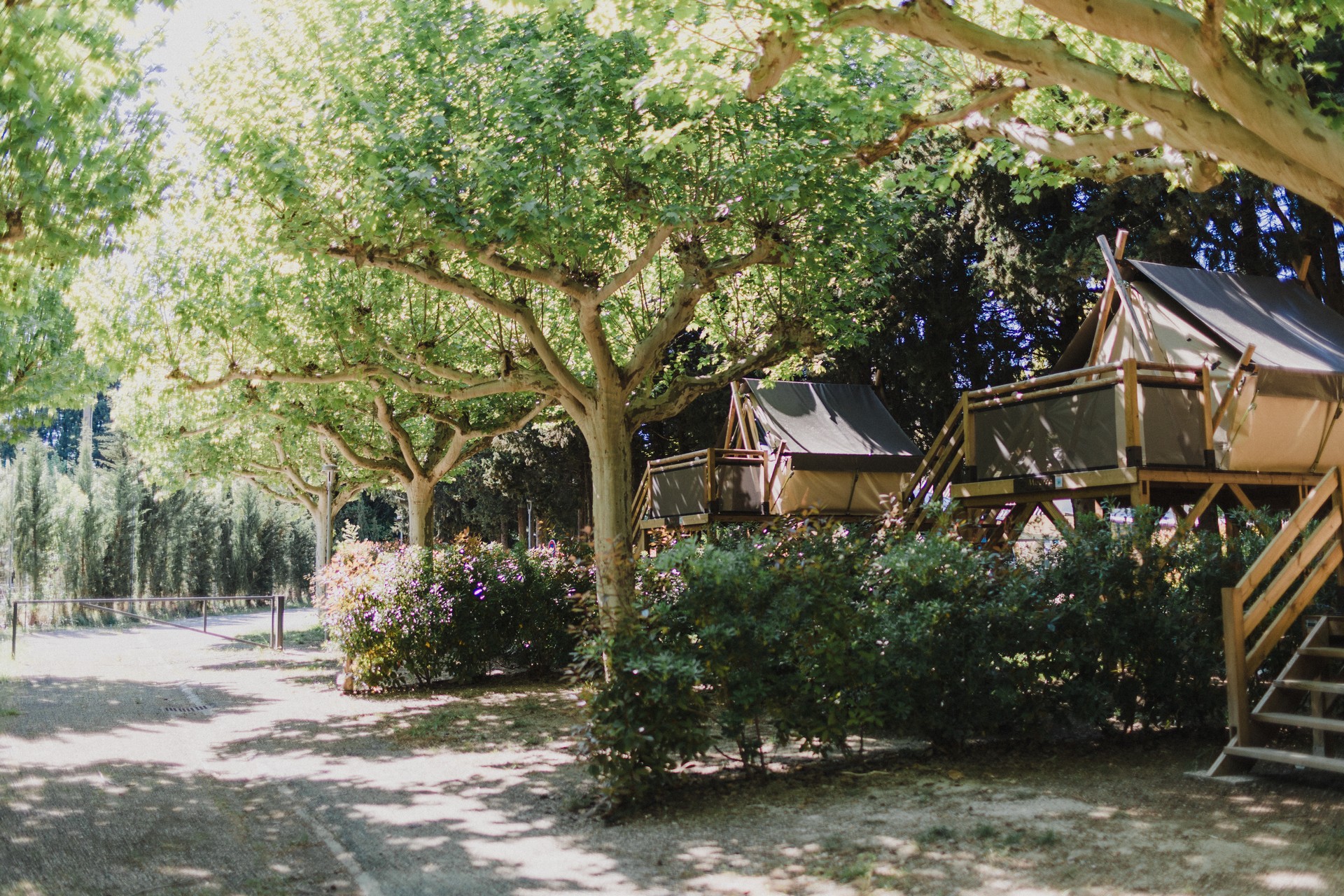 Camping Porte des Alpilles - photo 4