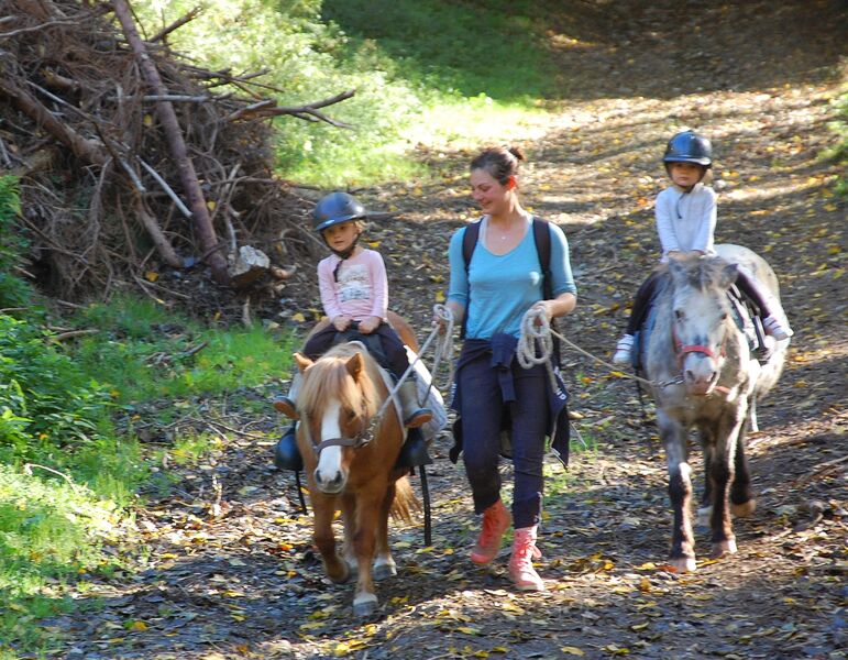balade à poneys Sidobre Tarn