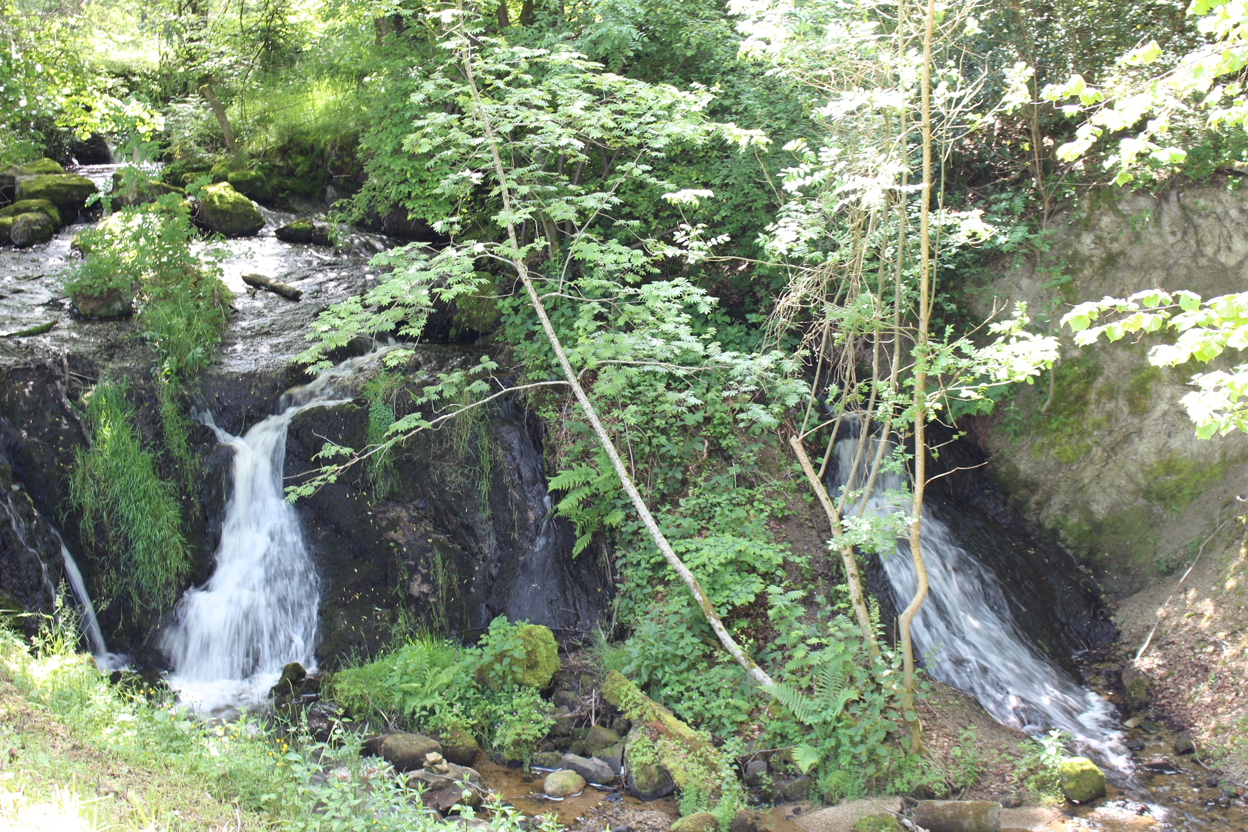 Les 3 cascades de la Ribe