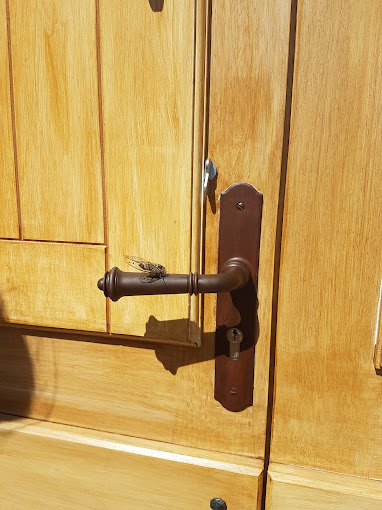 Le Mas des Apiès, Vernègues - photo 4