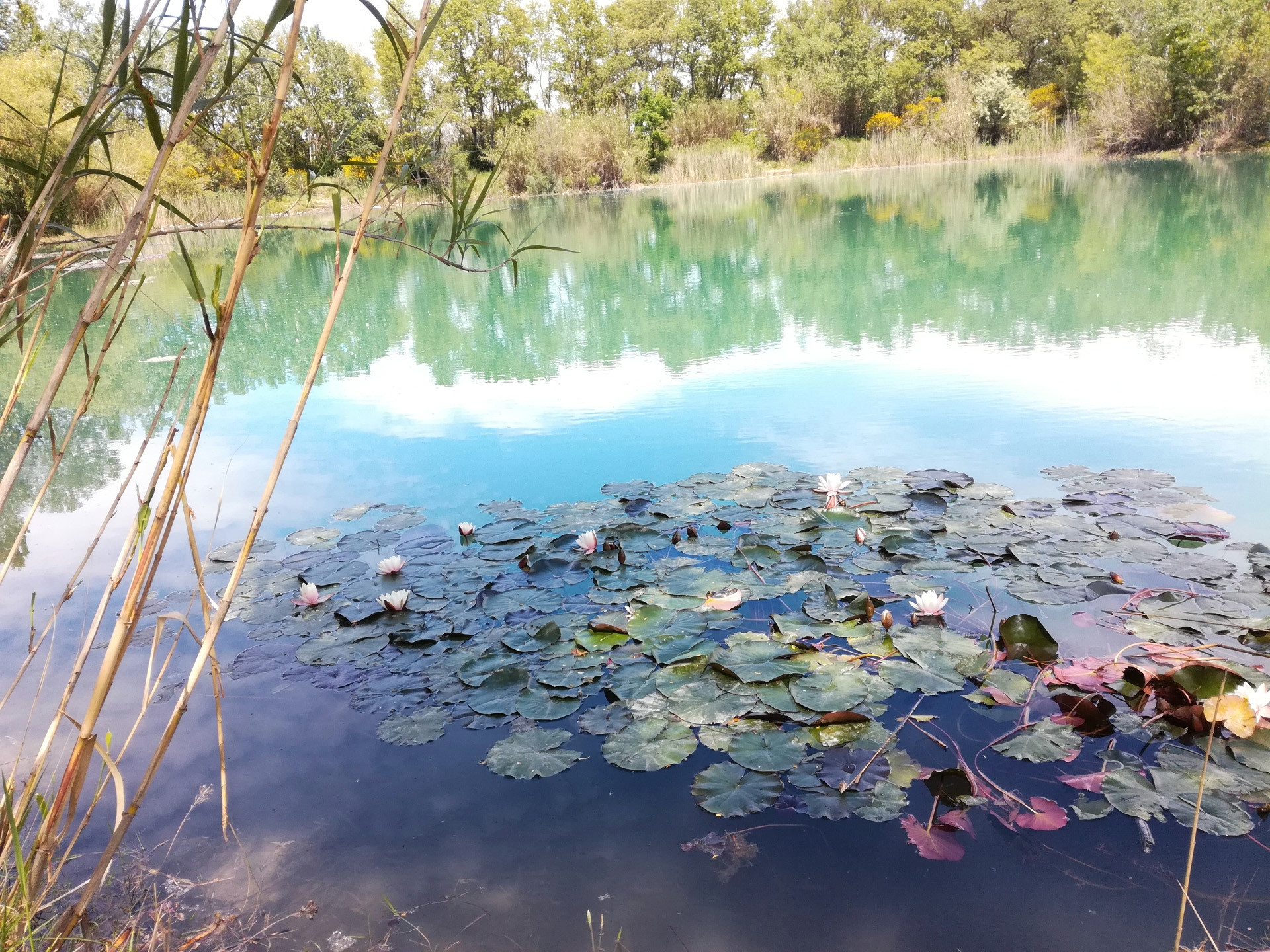 Lac des Iscles, Noves - photo 2