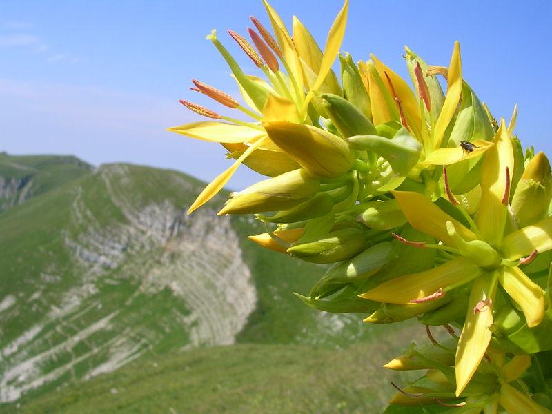 http://Rendez-vous%20avec%20la%20Réserve%20Naturelle%20Nationale%20de%20la%20Haute%20Chaîne%20du%20Jura