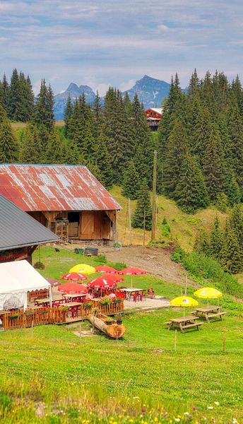 Ferme alpage de la Vieille