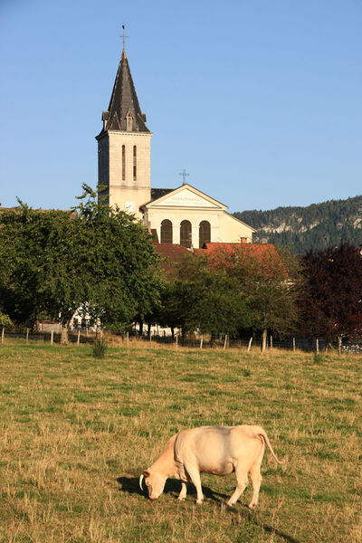 City town of Viuz-en-Sallaz // meublés classés en location sur le Massif des Brasses
