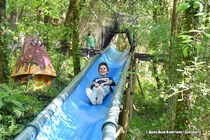 Le Bois des Lutins - Villeneuve-Loubet