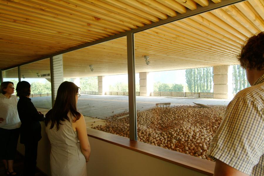 La noix un produit en or_Vinay