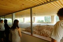 La noix un produit en or_Vinay