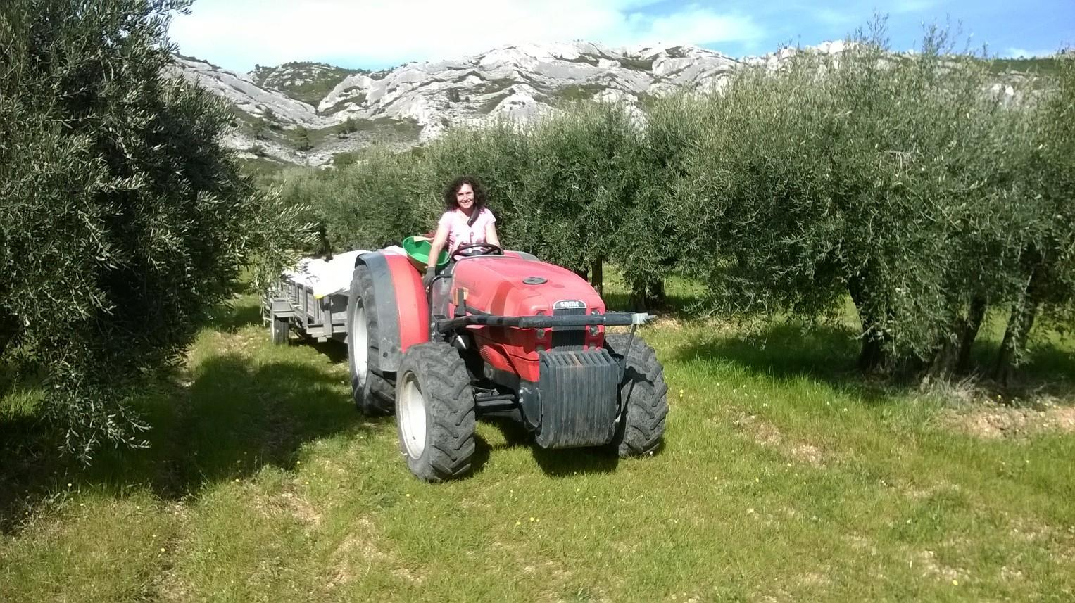 Le Mas Saint Roman - La pichoulino, Maussane-les-Alpilles - photo 28