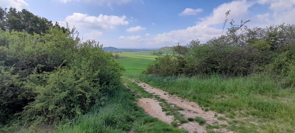 Circuit VTT Pays d'Issoire côté Livradois - Etape 2