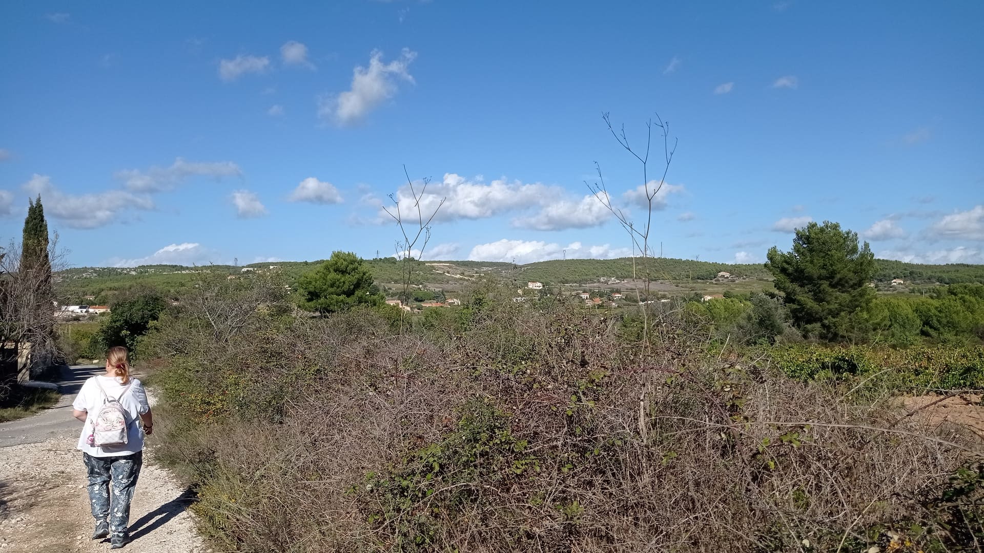 Sentier des vignerons - Boucle panoramique - photo 5