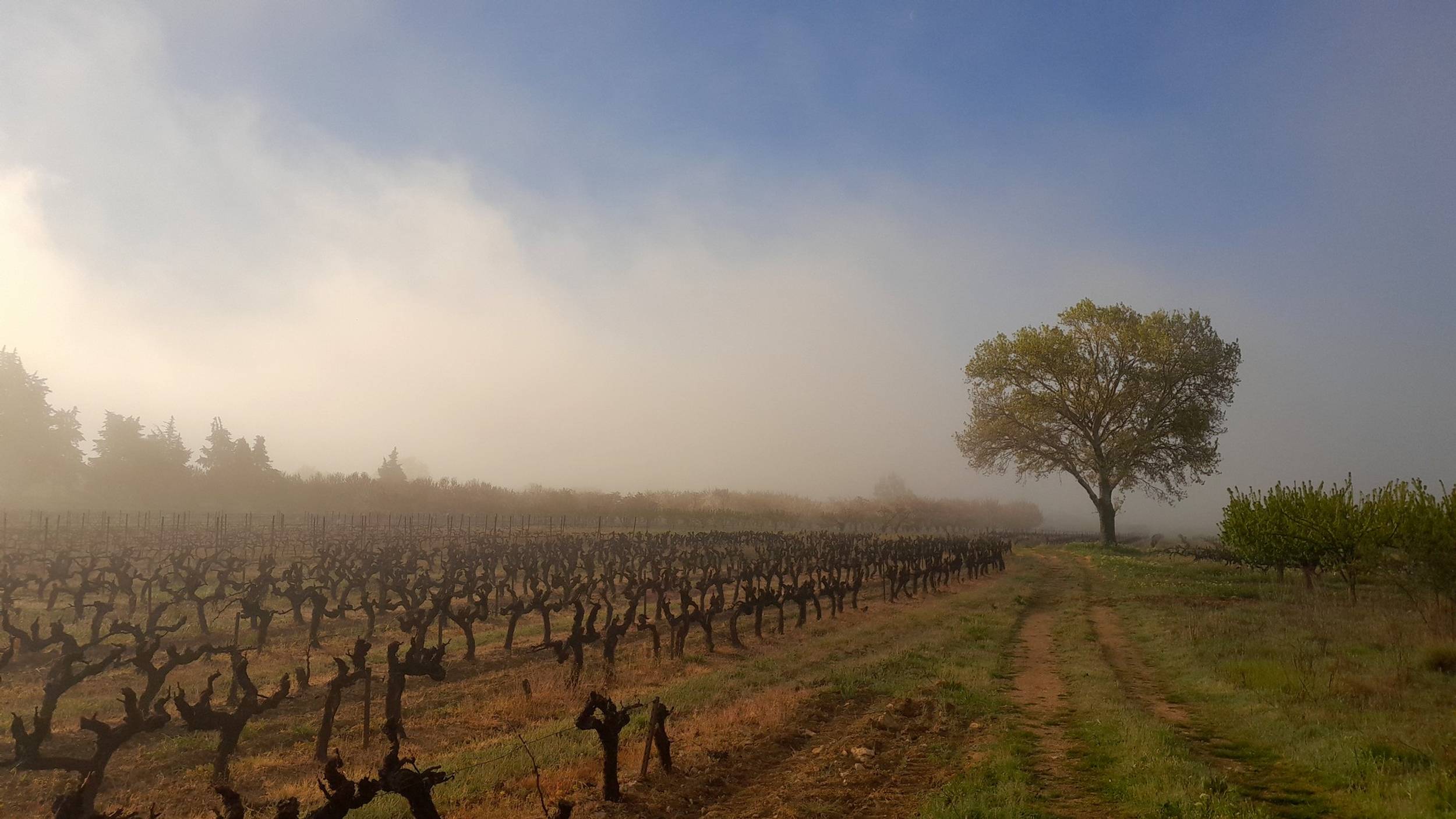 PERTUIS - Le Pays d'Aigues à vélo en 2 jours, Pertuis - photo 8