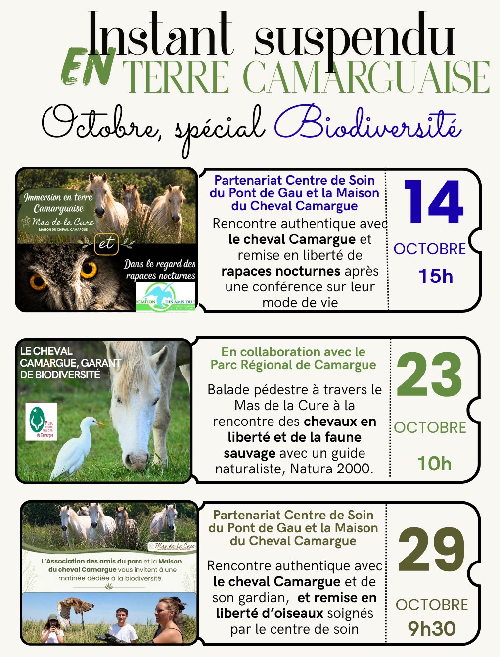 Découverte d&rsquo;une manade de chevaux de race Camargue