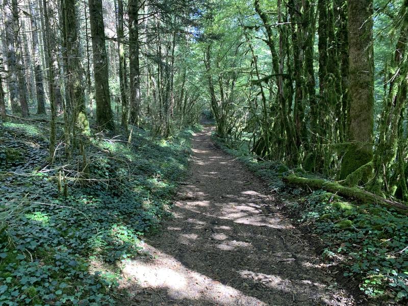 Randonnée - Sur les pentes de l'avocat