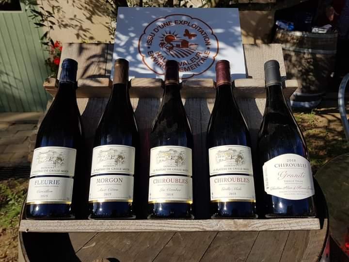 LE PLATEAU DE GRILLE MIDI