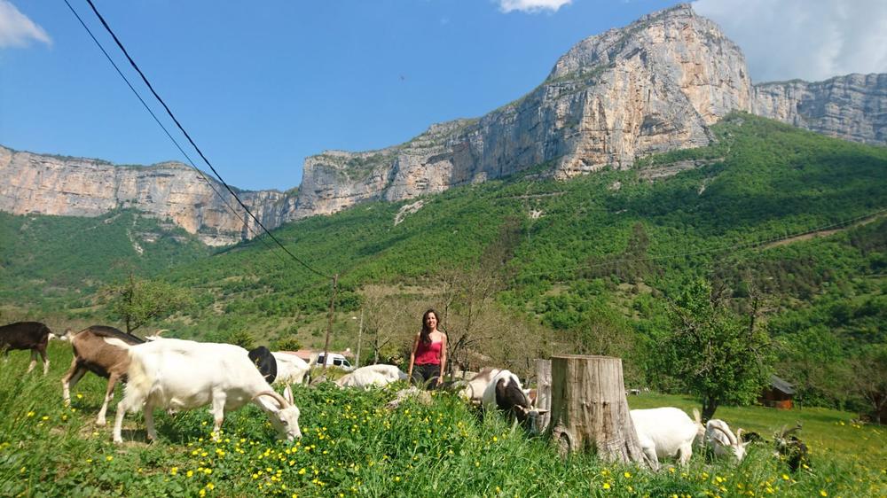 Vue panoramique VERCORS