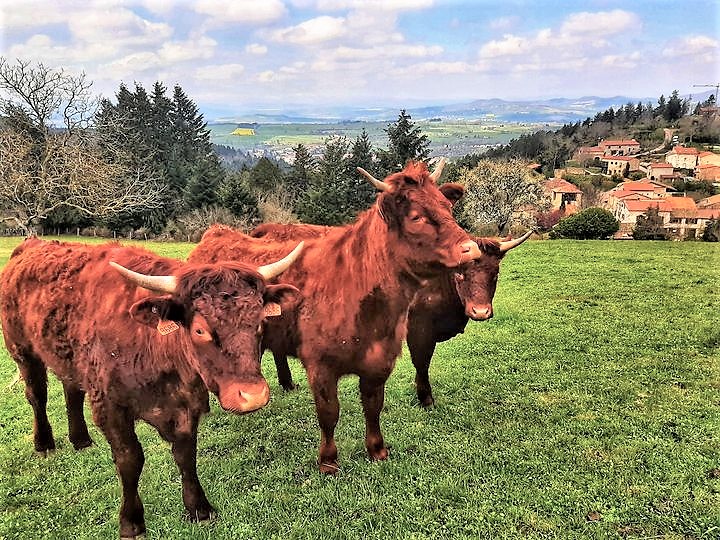Balade à la ferme La Sagnole