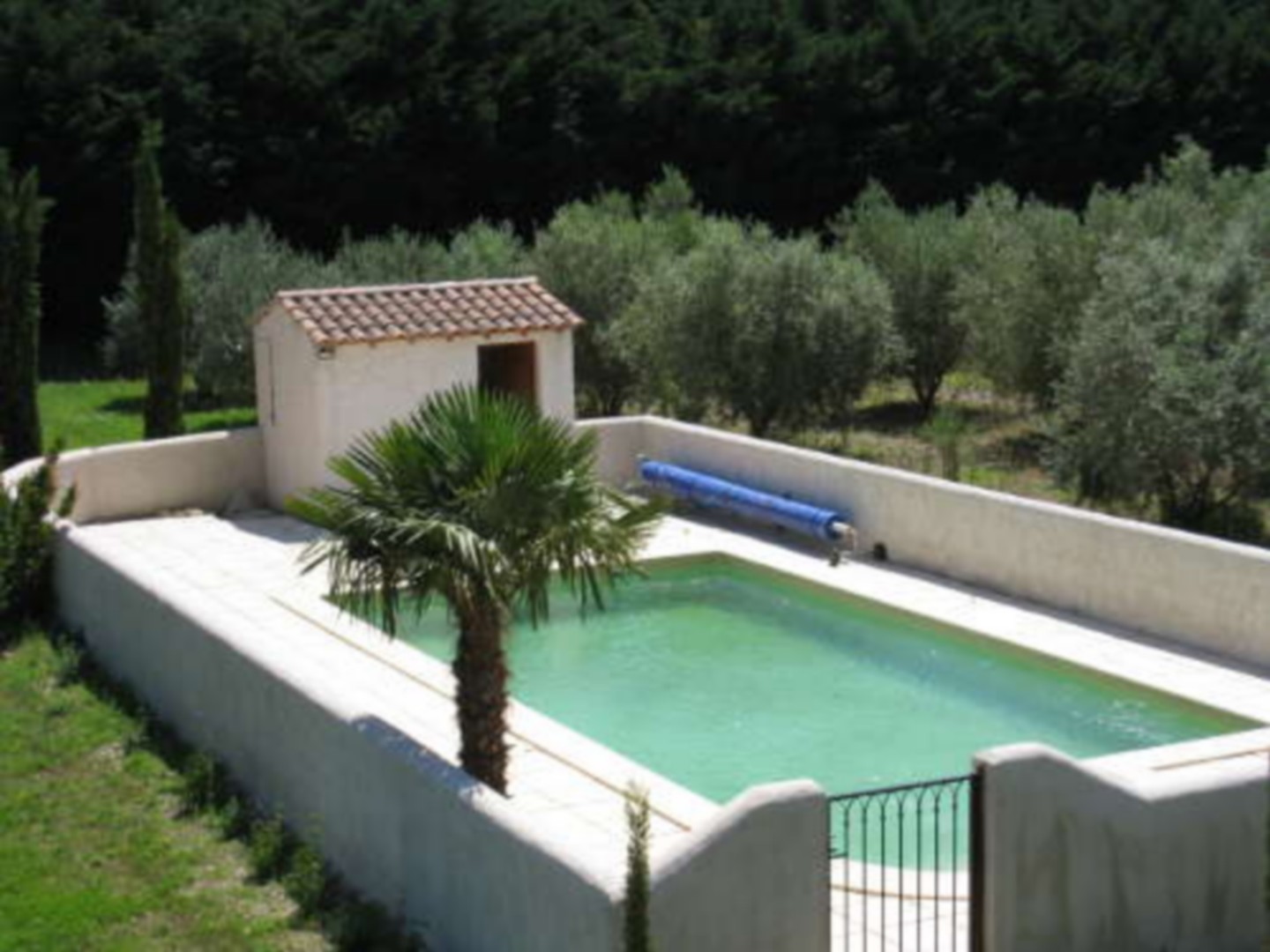 Les Oliviers - photo 5