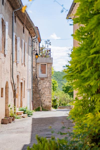 Balade découverte des plantes sauvages, arbres et arbustes du village de Puygiron_Puygiron