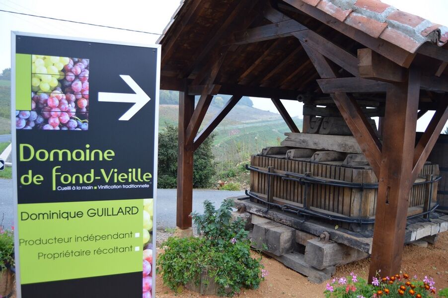 Domaine Fond Vieille