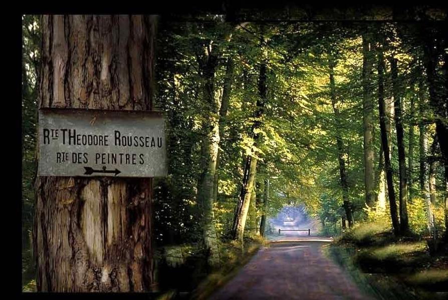 Route de Théodore Rousseau