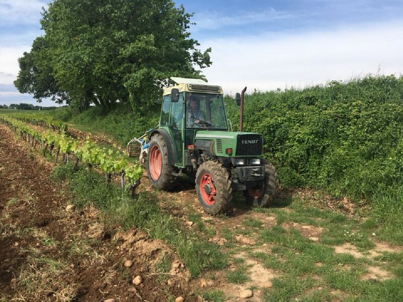 Caveau dégustation Domaine de la Pierre-Laine