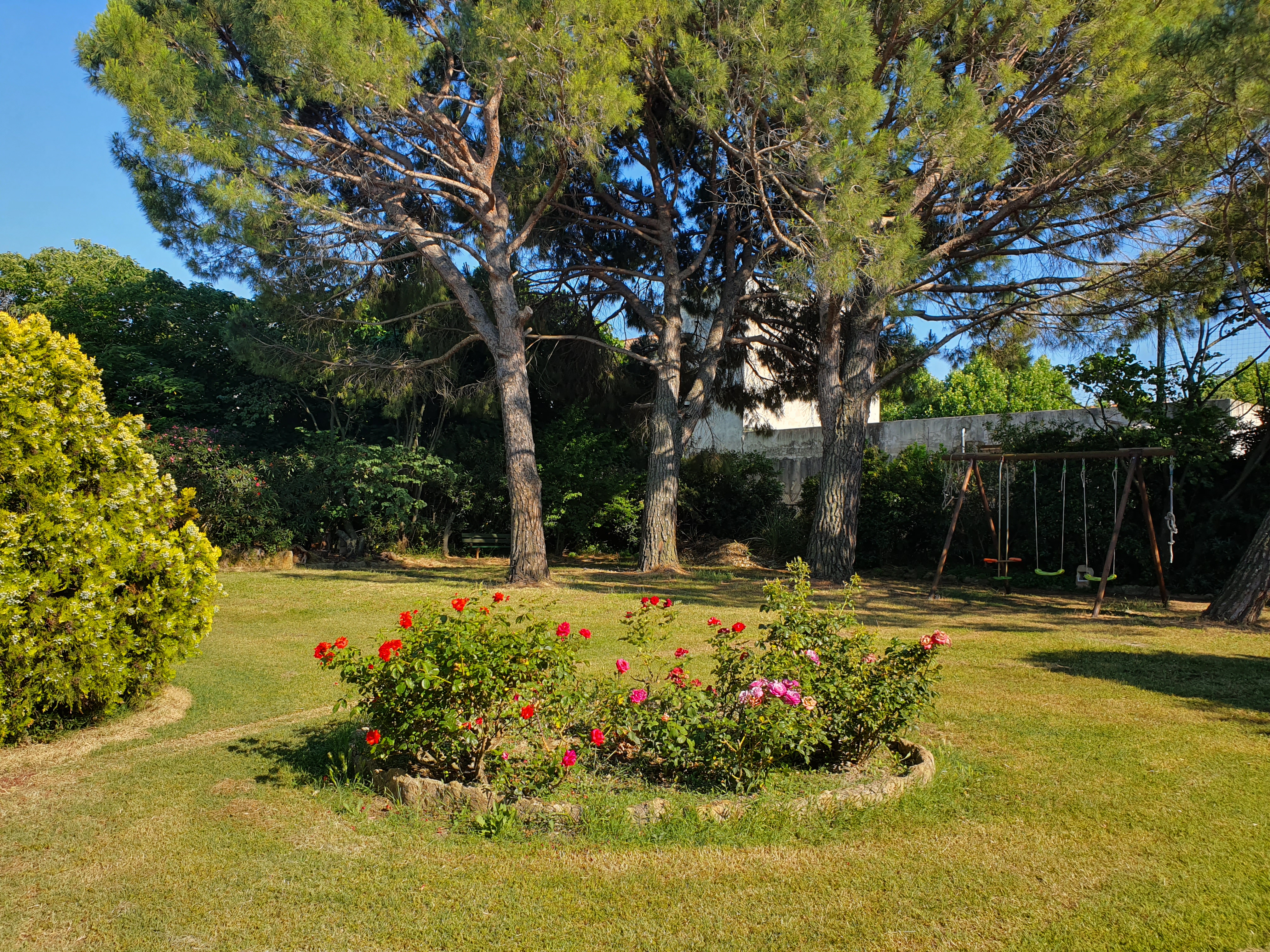 Camargue Provence