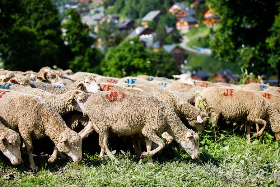 R13 - Entre villages et alpages_Méribel