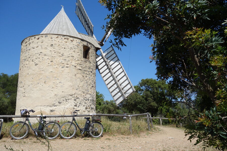 Le Moulin du bonheur à Porquerolles