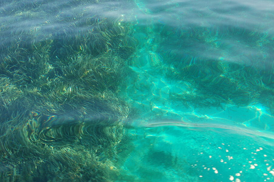 La plage du Langoustier à Porquerolles