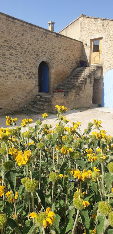 Le Mas des Apiès, Vernègues - photo 9