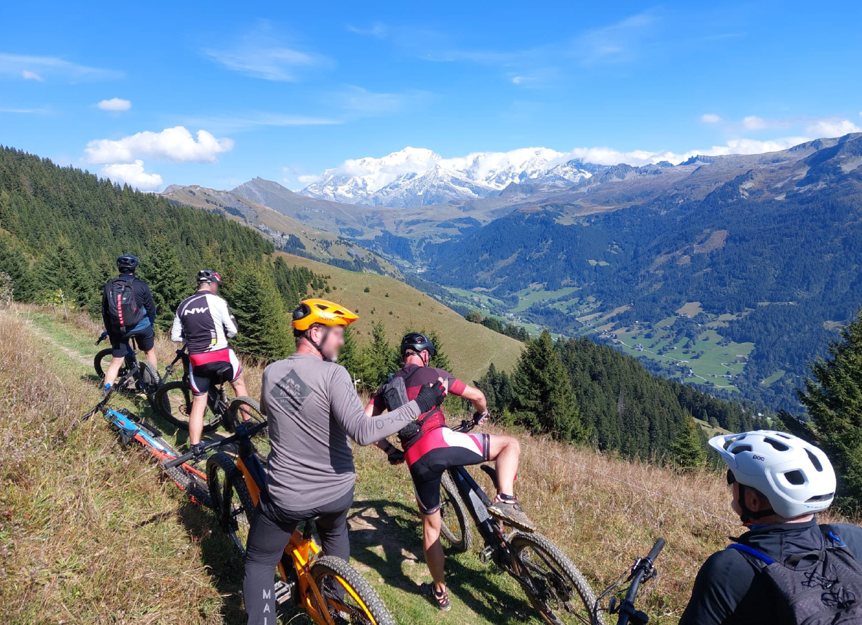 Half-day mountain bike tour