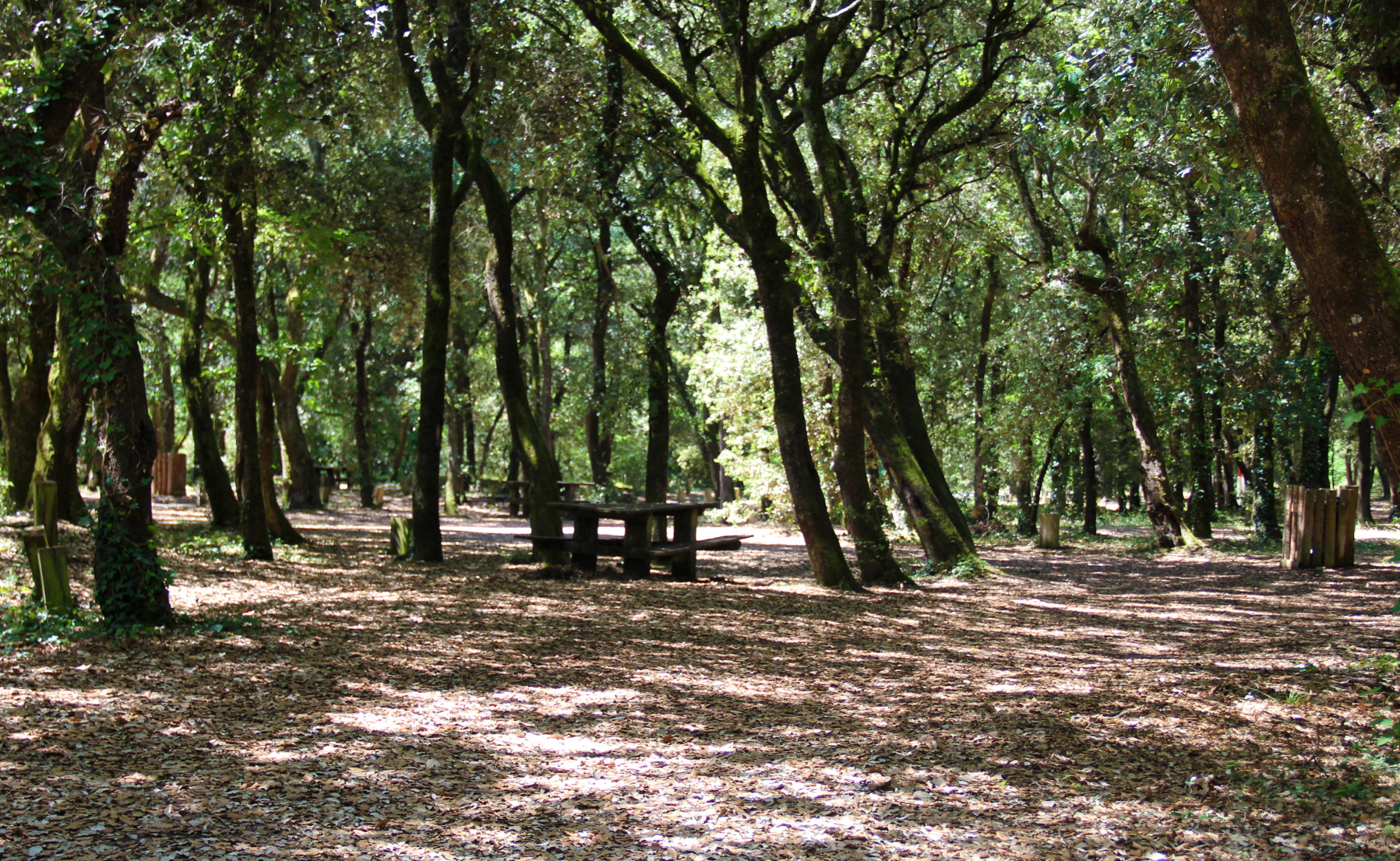 Aire de pique-nique de Saint Nicolas